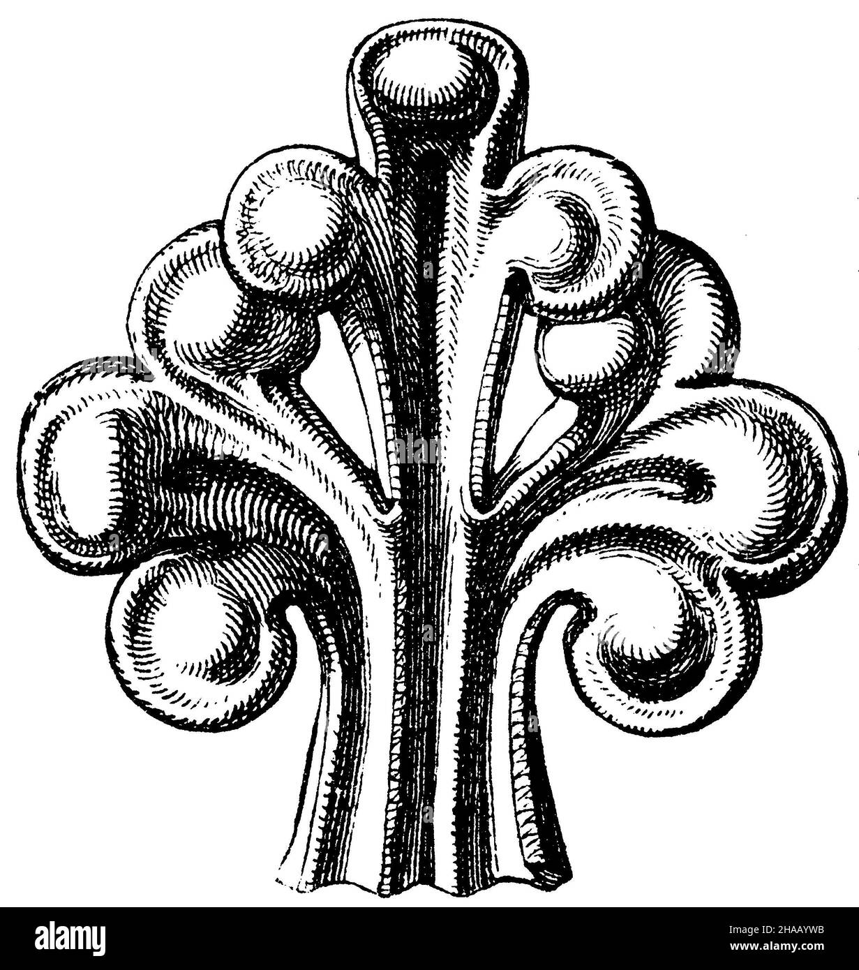 Trefoil. Ornamentally treated shamrocks, , (architectural history Stock