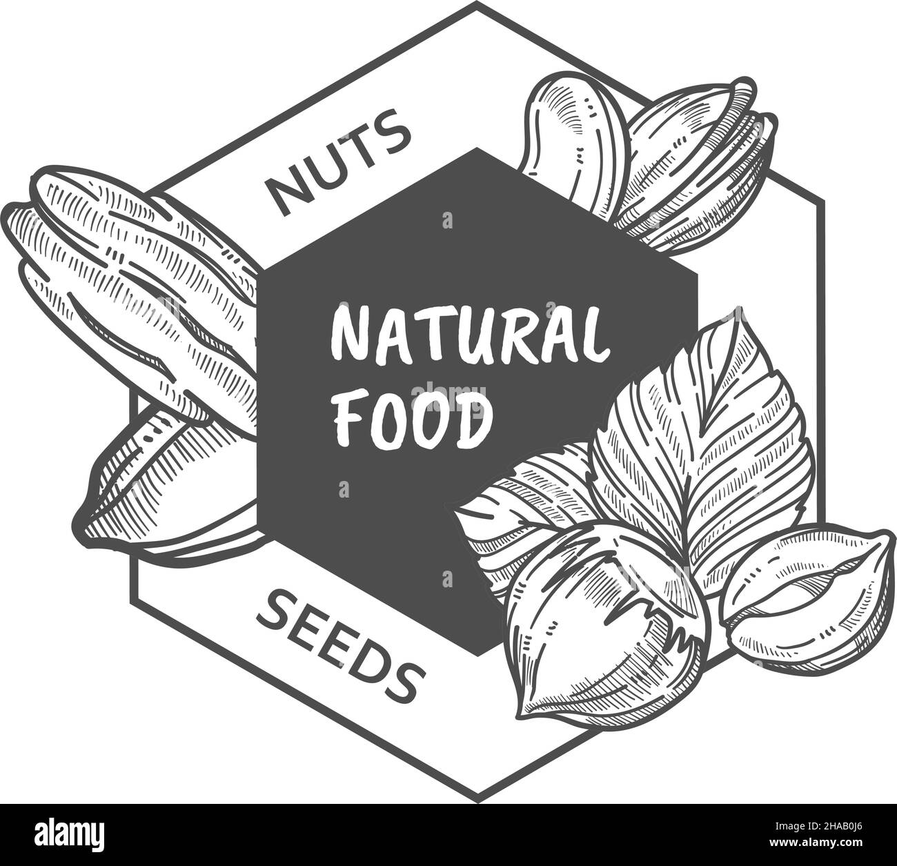 Natural food, nuts and seeds organic food vector Stock Vector Image