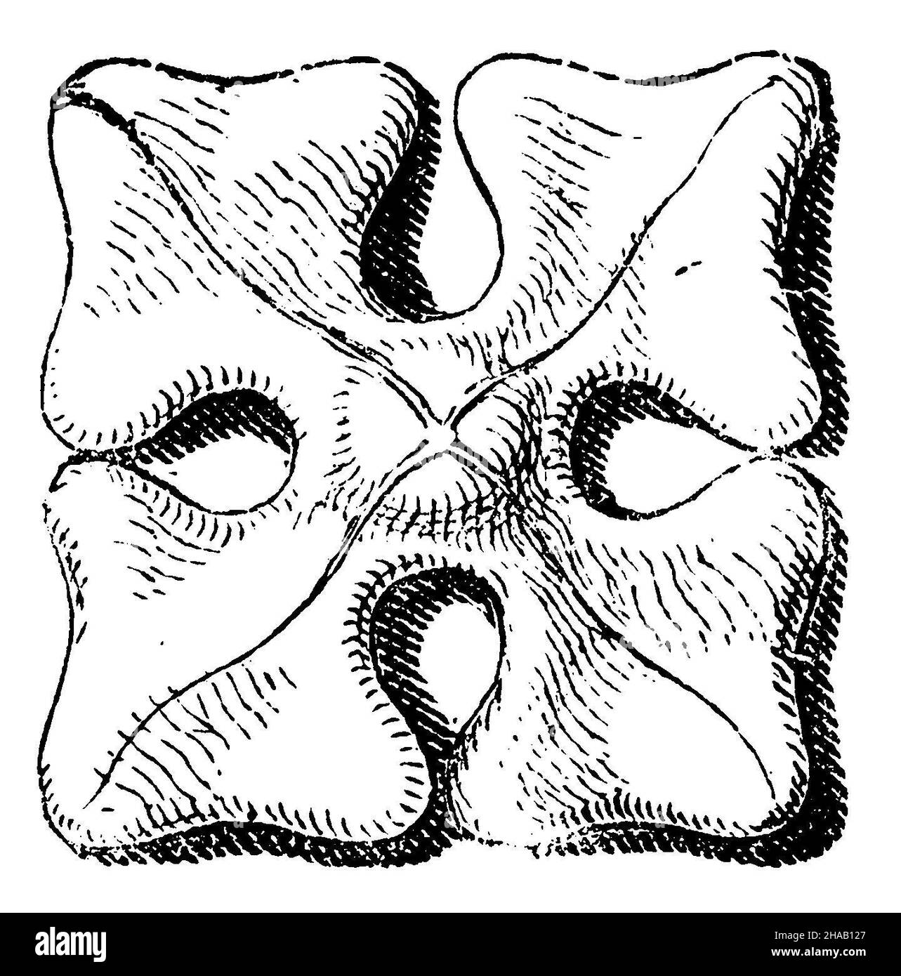 Cross flower: flower-like ornament made of natural stone on gothic or ...