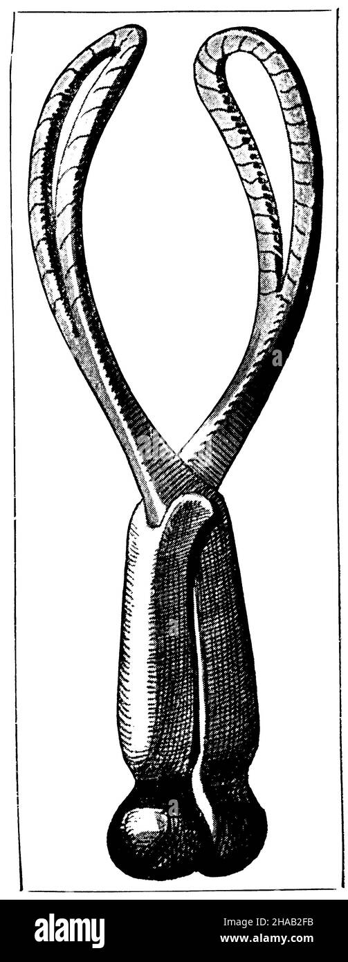 Head forceps for forceps birth, ,  (natural history book, ), Kopfzange für die Zangengeburt Stock Photo