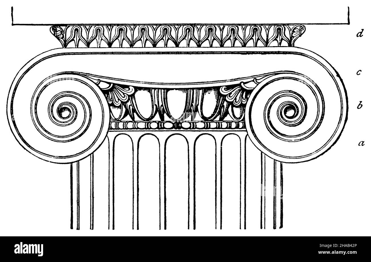 Ionic capital. Front elevation. Astragal. b. Echinus with kymation. c. Fascia with volutes. d. Plinthus (abacus) with kymation., ,  (cultural history book, 1892), Ionisches Kapitell. Vorderansicht im Aufriss. Astragal. b. Echinus mit Kymation. c. Fascia mit Voluten. d. Plinthus (Abacus) mit Kyma., Chapiteau ionique. Vue de face en élévation. Astragale. b. Echinus avec kymation. c. Fascia avec volutes. d. Plinthus (abacus) avec kyma. Stock Photo