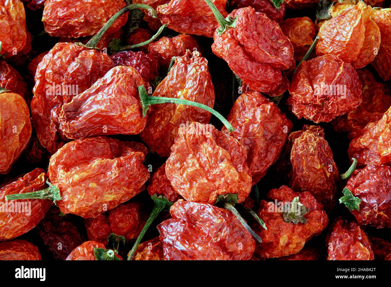 dried mini peppers from above Stock Photo