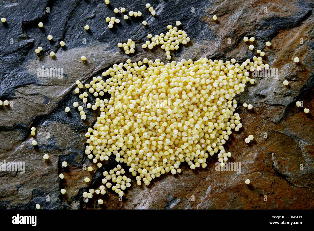 millet grains from above on stone surface Stock Photo