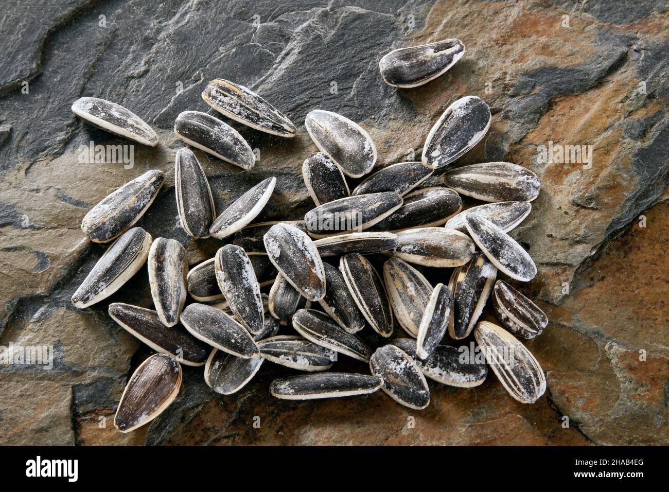 sunflower seeds from above on stone surface Stock Photo Alamy