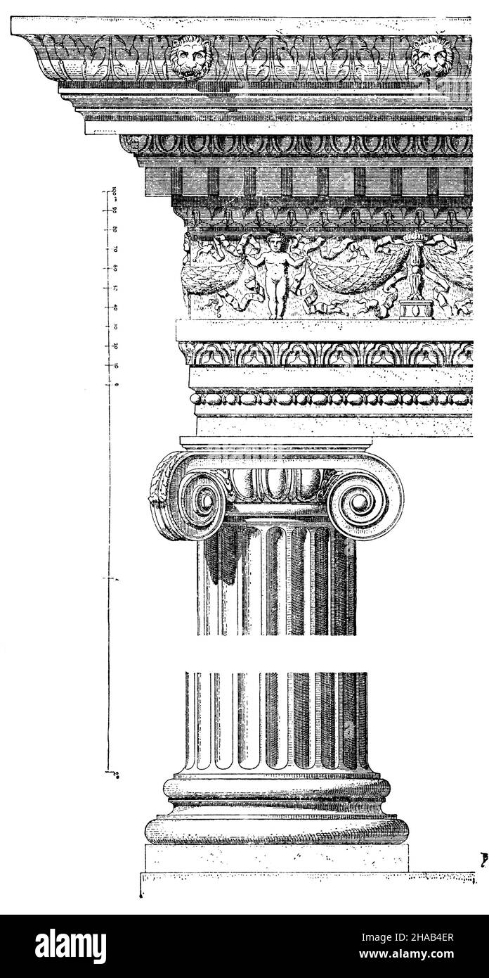 Roman Ionic order. From the temple of Fortuna virilis in Rome, ,  (cultural history book, 1892), Römisch-ionische Ordnung. Vom Tempel der Fortuna virilis in Rom, Ordre romain-ionique. Du temple de Fortuna virilis à Rome. Stock Photo