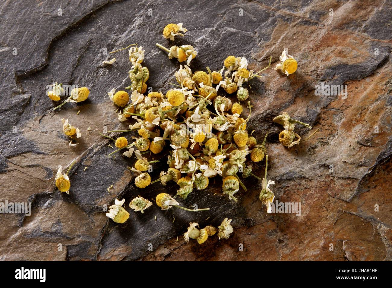 chamomile flowers from above on stone surface Stock Photo