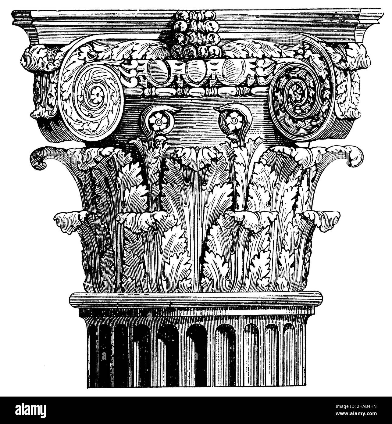 Roman composite capital. (Lübke.), ,  (cultural history book, 1892), Römisches Komposita-Kapitell. (Lübke.), Chapiteau composite romain. (Lübke.) Stock Photo