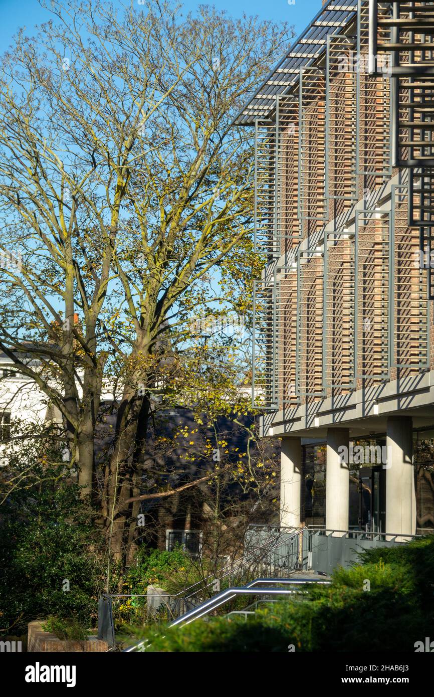 The Pears Building, designed by Hopkins Architects, is the Immunity and Transplantation Research Centre of The Royal Free Hospital, Hampstead, London Stock Photo