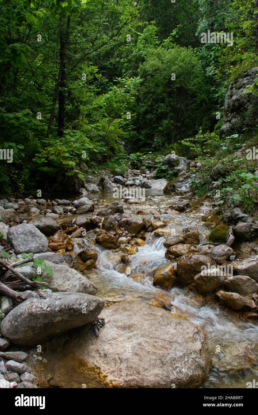 A vertical shot of a small river surrounded by greenery flowing through ...
