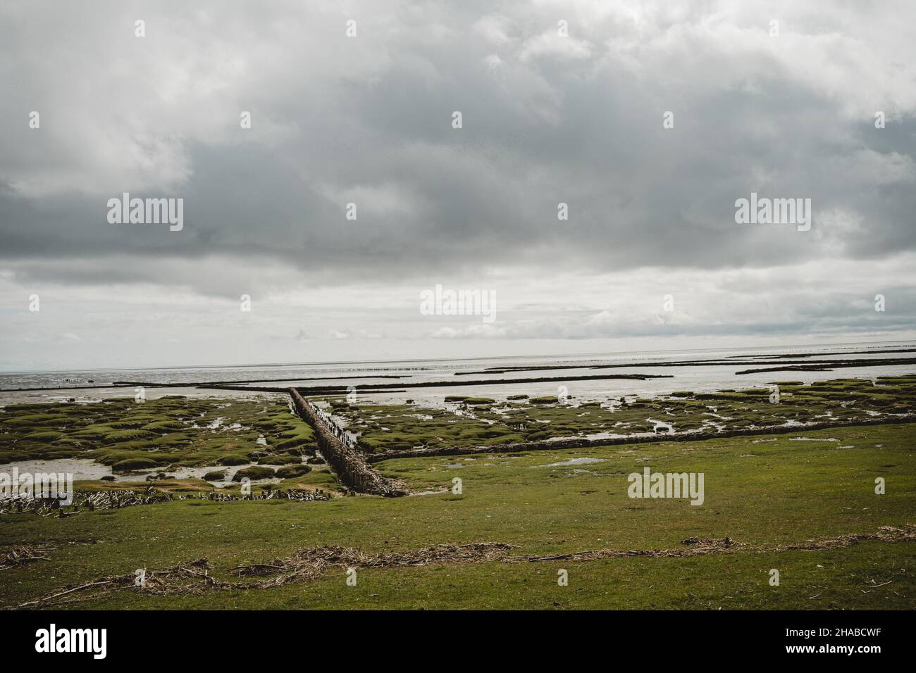 A green shore under the cloudy sky Stock Photo - Alamy