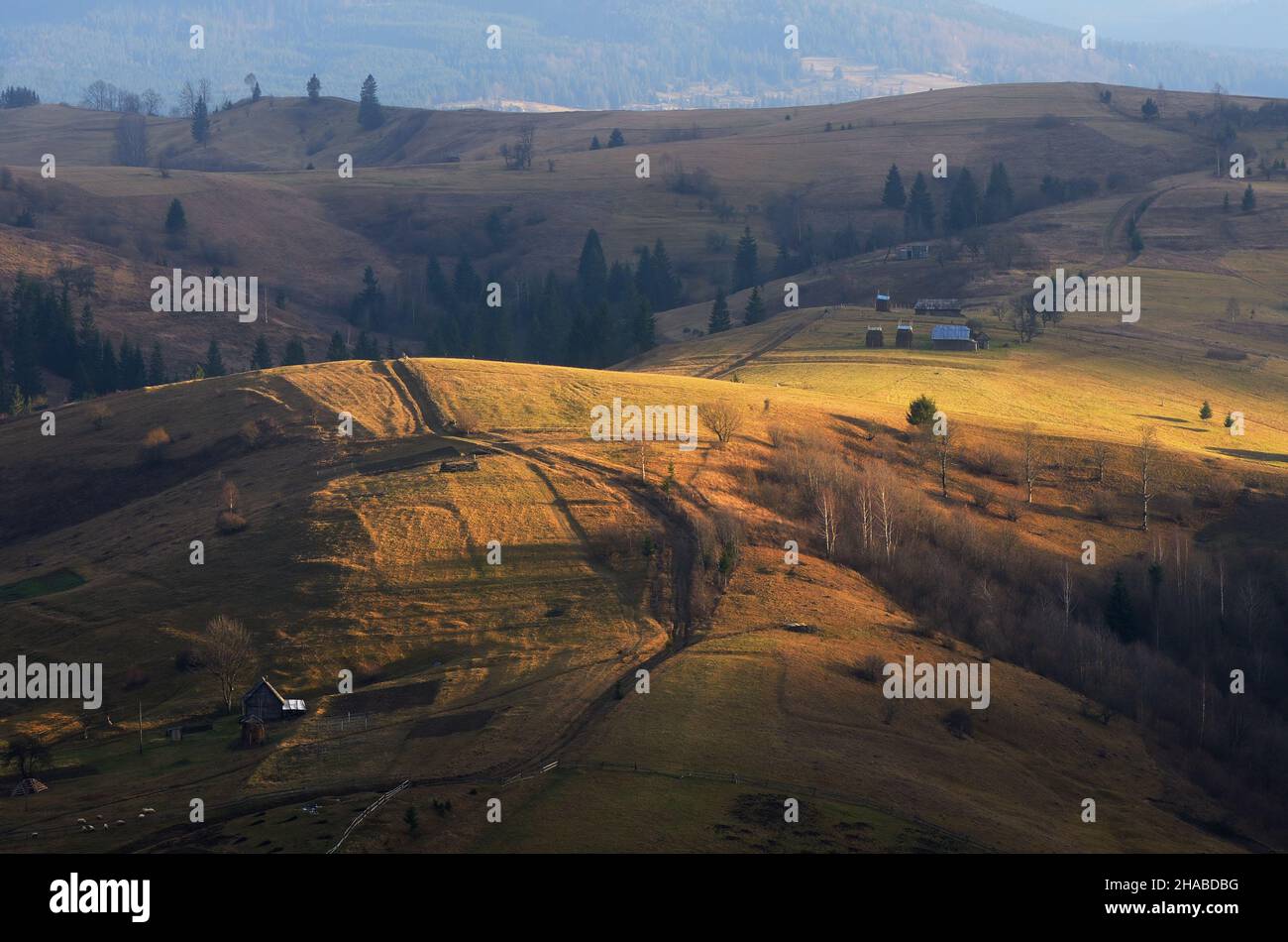 Evening landscape with road in a mountain village. Sunlight on the hill. Carpathian mountains, Ukraine Stock Photo