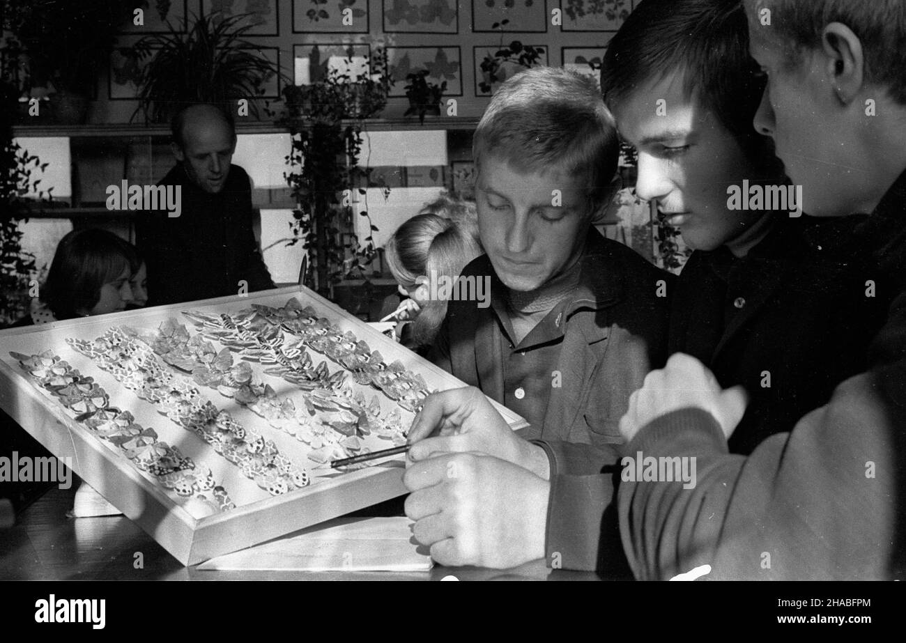 Zduñska D¹browa, 1969-10. Uczniowie podczas lekcji biologii w Technikum Ochrony Roœlin w Zduñskiej D¹browie. Nz. ch³opcy przy gablocie z motylami mb  PAP/Marek Langda    Dok³adny dzieñ wydarzenia nieustalony.      Zdunska Dabrowa, Oct. 1969: Biology lesson at Plant Protection College in Zdunska Dabrowa. Pictured: boys looking at a butterfly case.  mb  PAP/Marek Langda Stock Photo