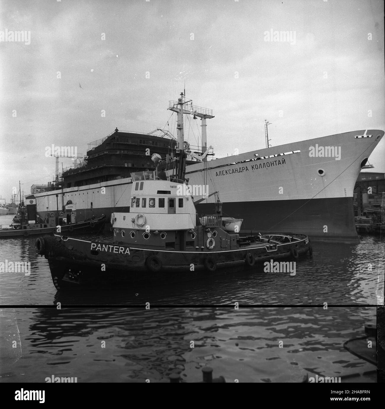 Gdañsk, 1969-10. Ch³odniowiec Aleksandra Ko³³¹taj, typ B443 o noœnoœci 4400 ton w Stoczni imienia Lenina w Gdañsku. Budowê ukoñczono w lipcu 1970 roku. Nz. ch³odniowiec po wodowaniu, przed nim holownik Pantera.  mb  PAP/B³a¿ewicz    Dok³adny dzieñ wydarzenia nieustalony.      Gdansk, Oct. 1969. Construction of Aleksander Kollataj freezer ship, type B443, deadweight 4400 tons, in the Lenin Shipyard in Gdansk. Construction was completed in July 1970. Pictured: the freezer ship after launching.  mb  PAP/Blazewicz Stock Photo