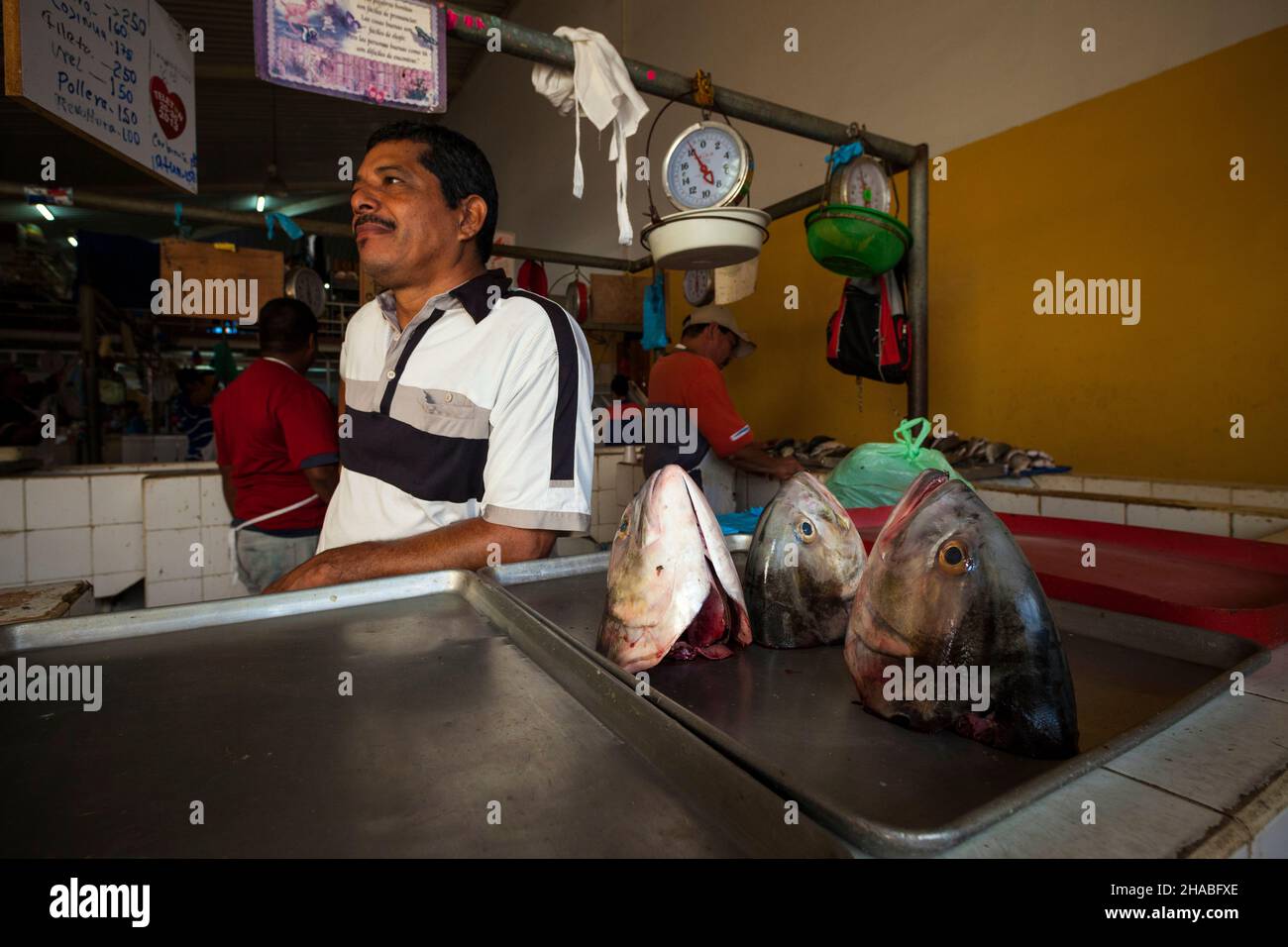 Panamanian salesman at the fish market in Penonome, Cocle province, Republic of Panama, Central America. Stock Photo