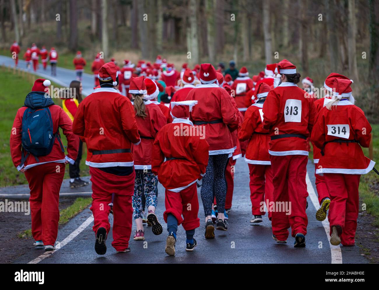 Dalkeith, Midlothian, Scotland, United Kingdom, 12th December 2021. Santa Run and Elf Dash: the charity fund-raising event takes place in Dalkeith Country Park to raise money for CHAS (Children’s Hospices Across Scotland) Pictured: participants in the Santa Run dash off into the woodland estate Stock Photo