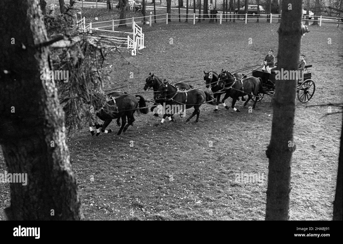 Starogard Gdañski, 1969-10-28. Aukcja koni czystej krwi arabskiej w Pañstwowym Stadzie Ogierów (PSO) w Starogardzie Gdañskim, zorganizowana w dniach 28 - 29 paŸdziernika 1969 r. Nz. jeden z zabytkowych powozów prezentowanych w pierwszym dniu aukcji. mb  PAP/Zbigniew Staszyszyn      Starogard Gdanski, Oct. 28, 1969. Auction of Arab horses organised in the State Stallion Stud in Starogard Gdanski on Oct. 28 to 29, 1969. Pictured: a historical carriage presented on the first day of the auction.   mb  PAP/Zbigniew Staszyszyn Stock Photo