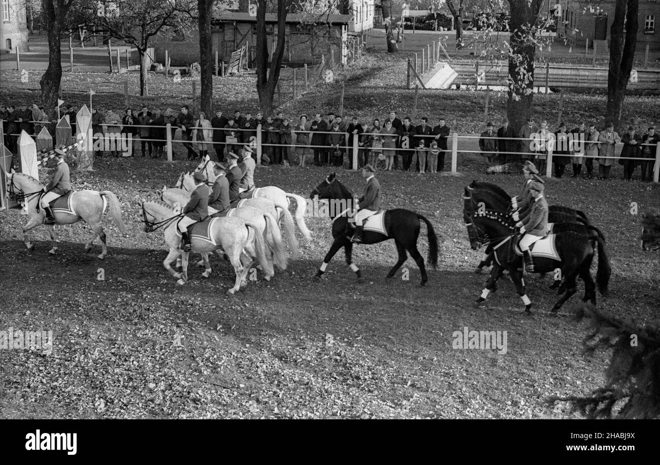 Starogard Gdañski, 1969-10-28. Aukcja koni czystej krwi arabskiej w Pañstwowym Stadzie Ogierów (PSO) w Starogardzie Gdañskim, zorganizowana w dniach 28 - 29 paŸdziernika 1969 r. Nz. pokaz jazdy w szeregu prezentowany w pierwszym dniu aukcji. mb  PAP/Zbigniew Staszyszyn      Starogard Gdanski, Oct. 28, 1969. Auction of Arab horses organised in the State Stallion Stud in Starogard Gdanski on Oct. 28 to 29, 1969. Pictured: a riding show presented on the first day of the auction.   mb  PAP/Zbigniew Staszyszyn Stock Photo