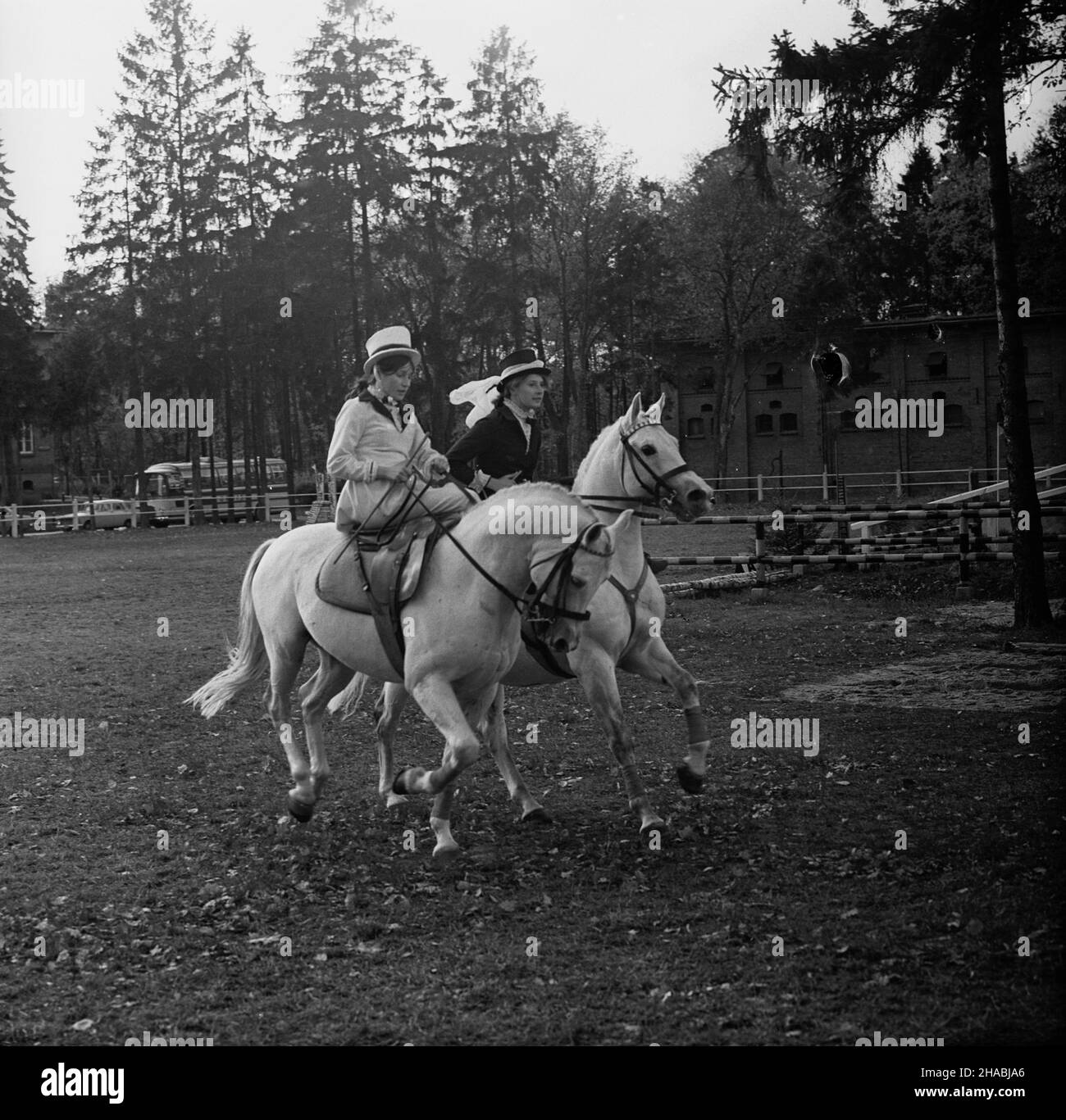 Starogard Gdañski, 1969-10-28. Aukcja koni czystej krwi arabskiej w Pañstwowym Stadzie Ogierów (PSO) w Starogardzie Gdañskim, zorganizowana w dniach 28 - 29 paŸdziernika 1969 r. Pokaz jeŸdŸców w historycznych kostiumach - prezentowany w pierwszym dniu aukcji. mb  PAP/Zbigniew Staszyszyn      Starogard Gdanski, Oct. 28, 1969. Auction of Arab horses organised in the State Stallion Stud in Starogard Gdanski on Oct. 28 to 29, 1969. Pictured: a riding show with riders in historical costumes on the first day of the auction.   mb  PAP/Zbigniew Staszyszyn Stock Photo