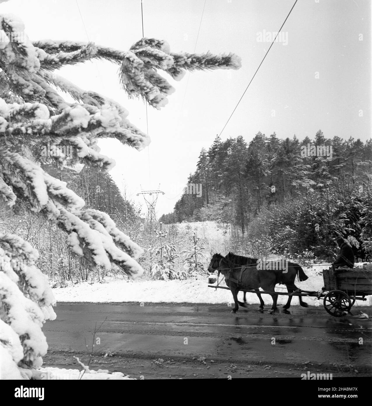 Polska, 1969-11. Zima na Warmii. Nz. wóz konny w zimowym pejza¿u. mb  PAP/Stanis³aw Moroz    Dok³adny dzieñ wydarzenia nieustalony.      Poland, Nov. 1969. Snow in the Warmia region. Pictured: a horse-driven cart in winter landscape.  mb  PAP/Stanis³aw Moroz Stock Photo