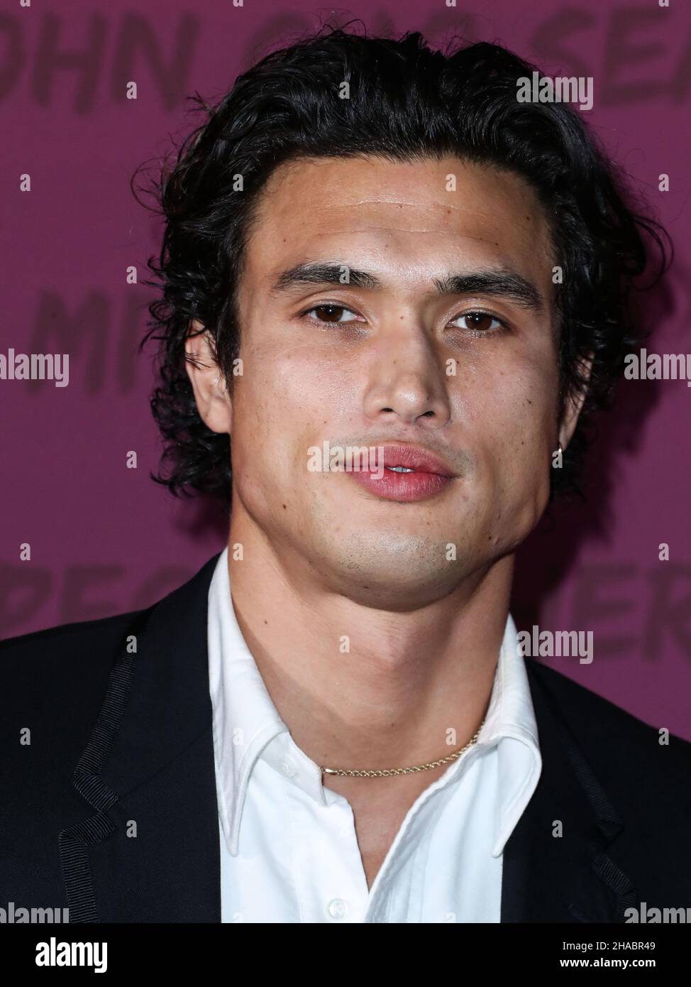 Charles Melton to star in The Sun Is Also a Star  The Siasat Daily   Archive
