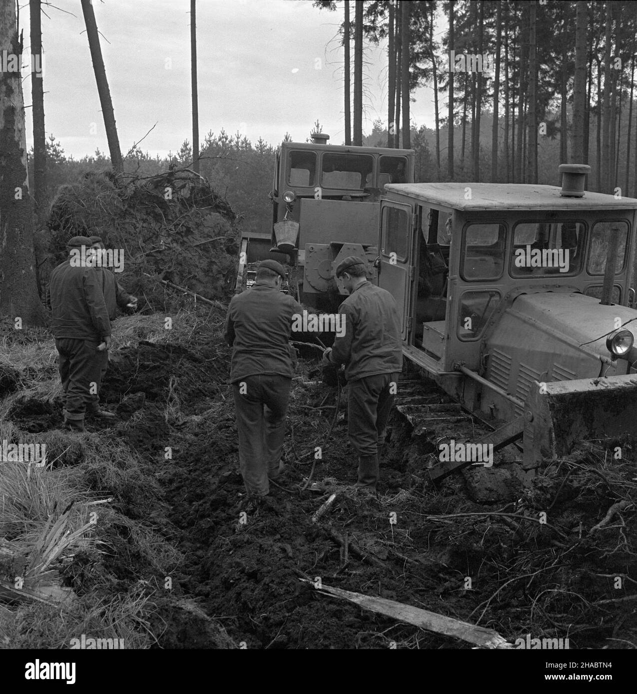 Kotlarnia, 1969-11-02. Po¿ar lasu we wsi Kotlarnia na OpolszczyŸnie. Nz. spychacz g¹sienicowy u¿yty do zasypania pogorzeliska. mb  PAP/Kazimierz Seko      Kotlarnia, Nov. 2, 1969. A forest fire in the locality of Kotlarnia in Opole region. Pictured: bulldozing after the fire.  mb  PAP/Kazimierz Seko Stock Photo