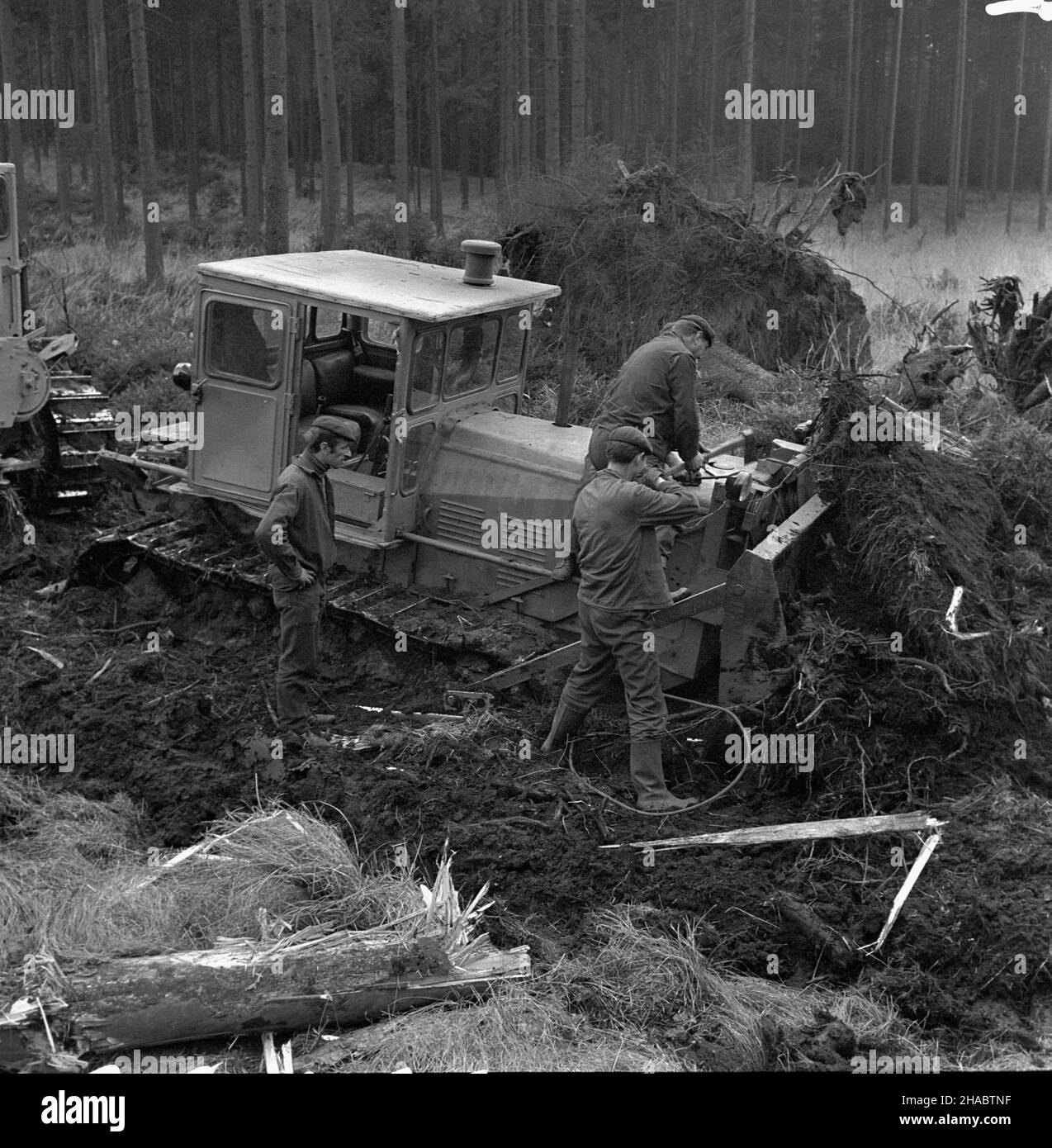 Kotlarnia, 1969-11-02. Po¿ar lasu we wsi Kotlarnia na OpolszczyŸnie. Nz. spychacz g¹sienicowy u¿yty do zasypania pogorzeliska. mb  PAP/Kazimierz Seko      Kotlarnia, Nov. 2, 1969. A forest fire in the locality of Kotlarnia in Opole region. Pictured: bulldozing after the fire.  mb  PAP/Kazimierz Seko Stock Photo