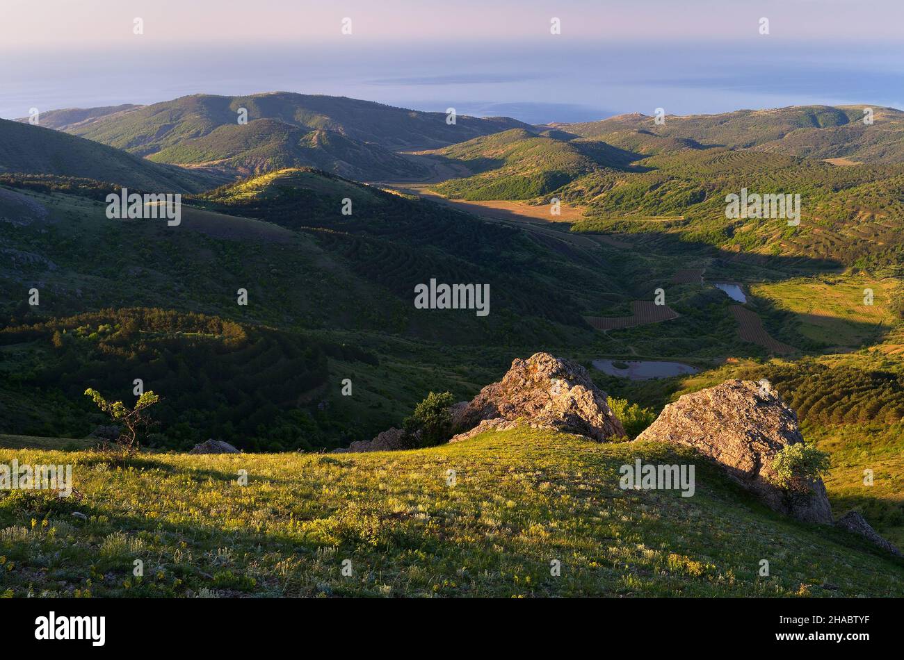 Summer landscape overlooking the sea. Green hills with forest. Sunny ...