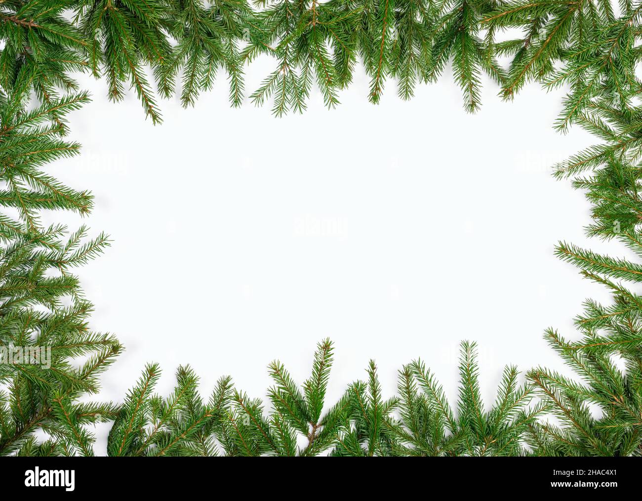Simple Christmas frame made of fir branches on white background Stock ...