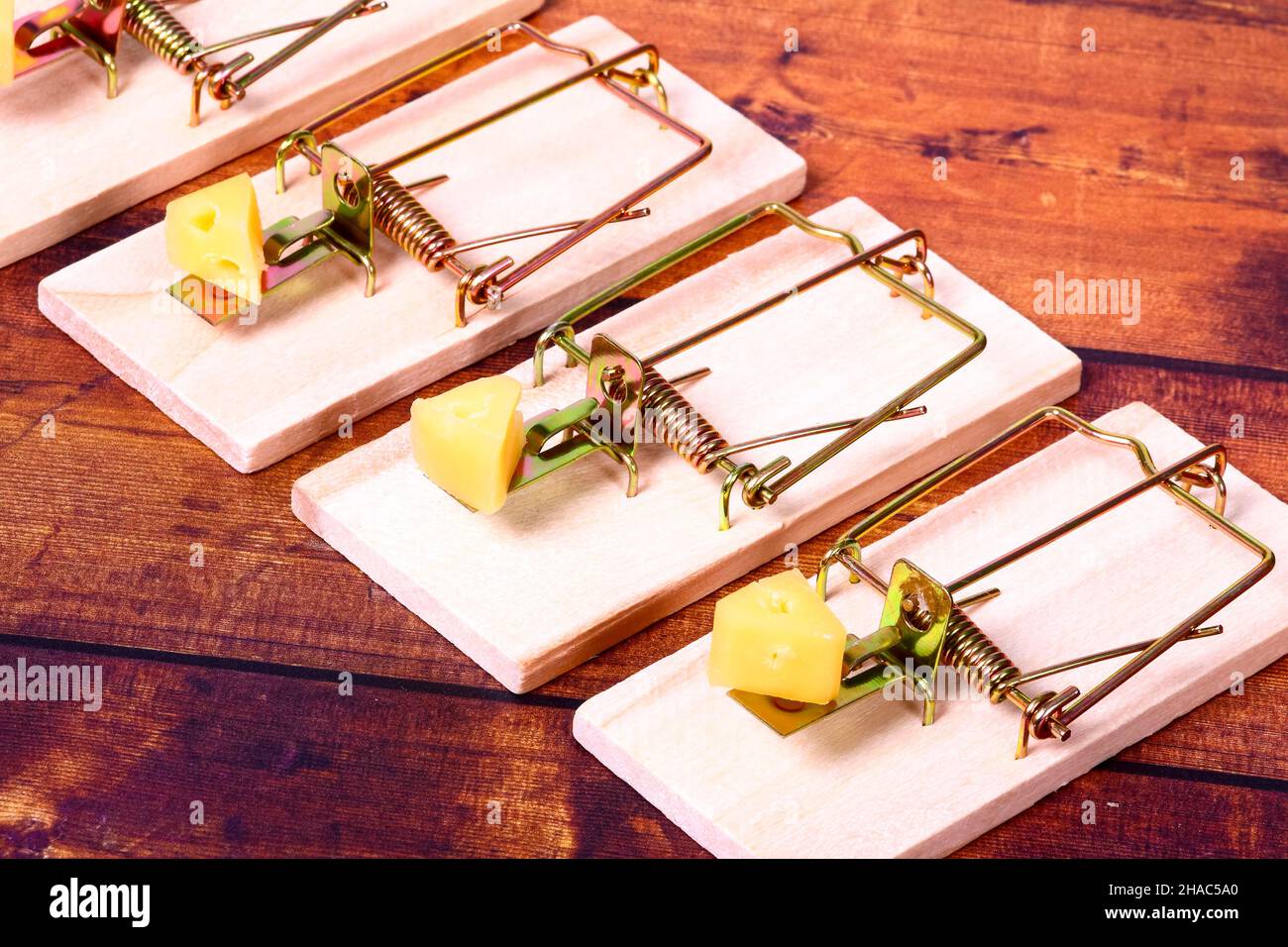 Four mousetraps baited with cheese, Mice infestation concept Stock Photo