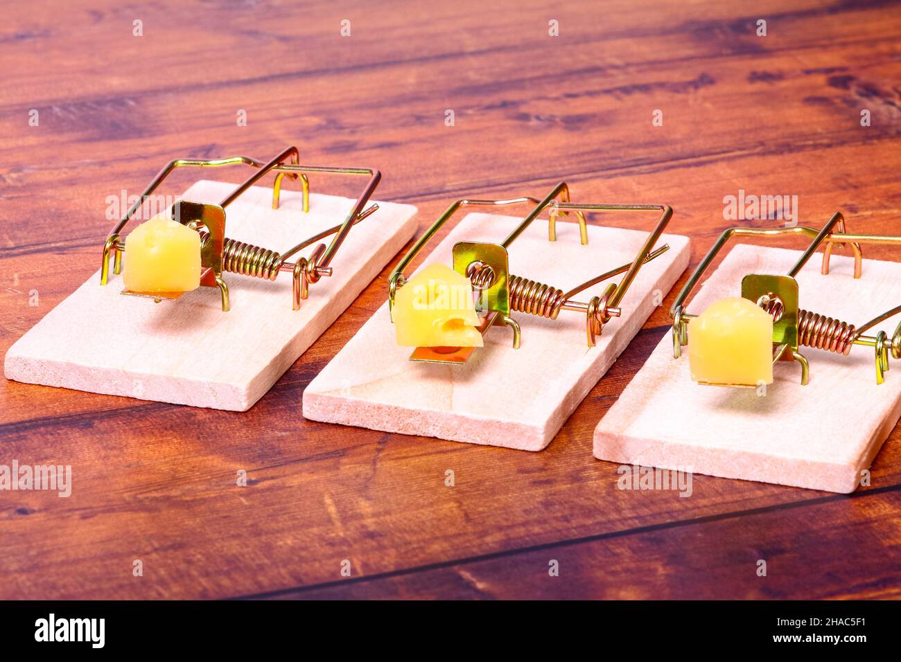Three mousetraps baited with cheese, Mice infestation concept Stock Photo