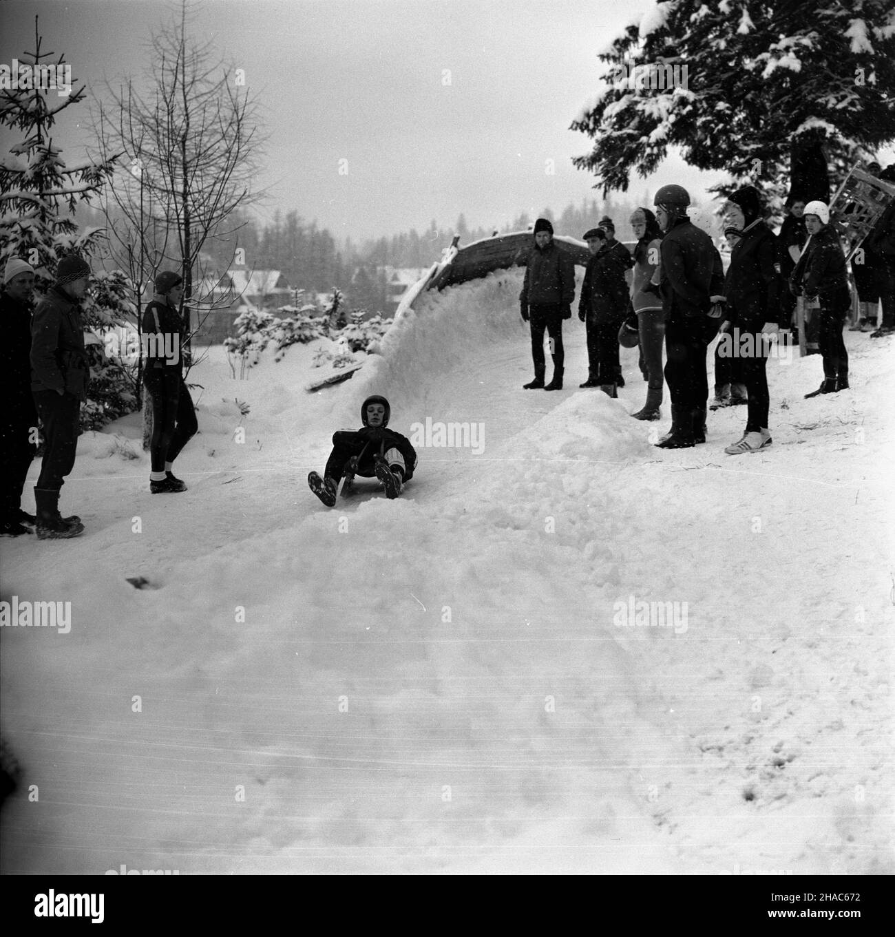 Zakopane, 1969-12-03. Od 2 XII 1969 r. kadra polskich saneczkarzy (seniorów i juniorów), pod kierunkiem Ryszarda Gurbowicza, trenowa³a na sztucznym torze, usypanym przez samych zawodników pod Krokwi¹. Nz. œlizg zawodnika na torze. pw PAP/Tadeusz Olszewski Zakopane, Dec. 3, 1969. Since Dec. 2, 1969 the Polish luger teams, both senior and junior, did exercises under the direction of Ryszard Gurbowicz on the artificial luge track made by the competitors near the Krokwia jump. Pictured: lugers during the training. pw PAP/Tadeusz Olszewski Stock Photo