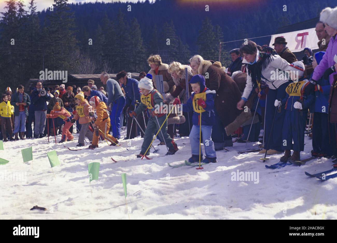 Zakopane 03.1979. Kilkadziesi¹t dzieci, ma³ych narciarzy z ca³ej Polski, wziê³o udzia³ w Memoriale Kornela Makuszyñskiego - popularnych zawodach Kozio³ka Mato³ka, organizowanych przez klub AZS Zakopane. Memoria³ rozgrywany od roku 1946 ma na celu popularyzacjê narciarstwa wœród dzieci i wychowanie w duchu fair play. Zawodnicy rywalizowali m.in. w biegach narciarskich, a najlepsi otrzymali pami¹tkowe dyplomy i stanêli na prawdziwym podium. mta PAP/Stanis³aw Momot Dok³adny dzieñ wydarzenia nieustalony. Zakopane March 1979. Scores of children, small skiers from all over Poland took pa Stock Photo