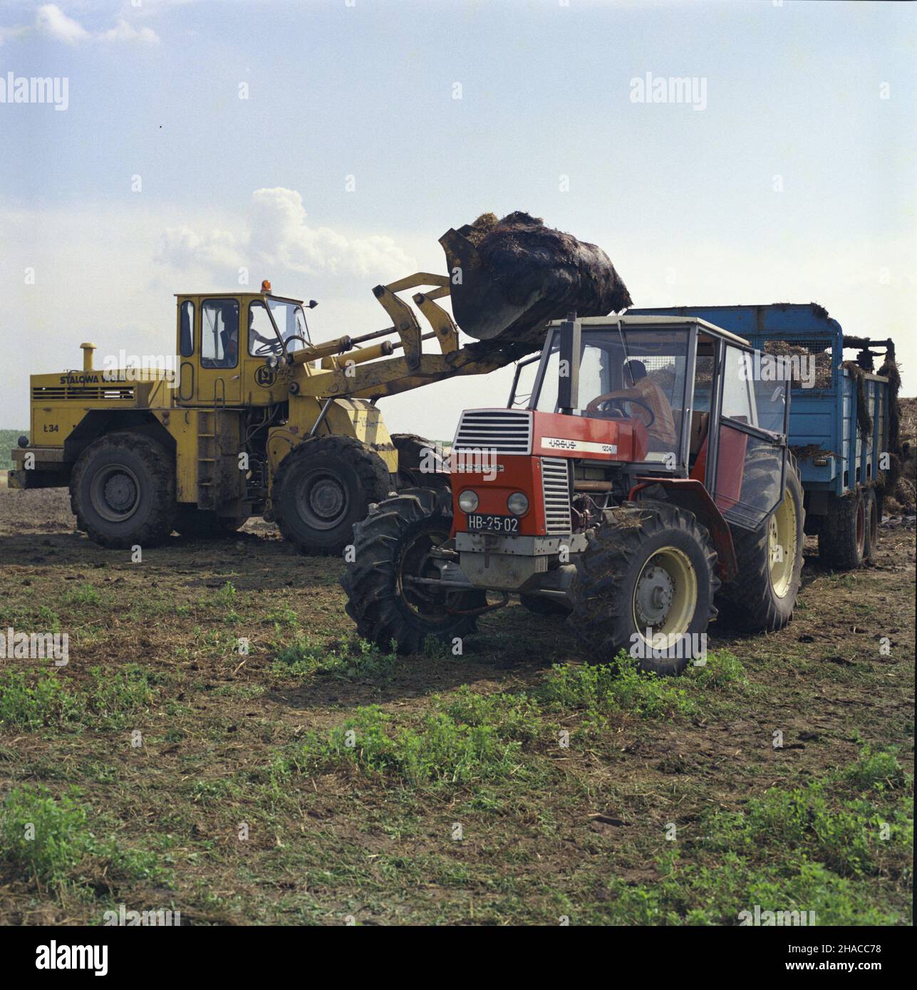 Kietrz 08.1979. Przedsiewne uprawy rolne w Kombinacie Pañstwowych Gospodarstw Rolnych (PGR) w Kietrzu na Nizinie Œl¹skiej; kombinat, w sk³ad którego wchodzi osiem zak³adów rolnych, gospodaruje na powierzchni 5877 ha. Nz. nawo¿enie pól obornikiem w ramach przedsiewnych upraw rolnych. mta  PAP/Wojciech Kryñski    Dok³adny dzieñ wydarzenia nieustalony.         Kietrz, August 1979. Field work at the State Farm Complex in Kietrz in the Silesian Lowland; the complex, made up of eight farms, had a total area of 5,877 hectares. Pictured: manure spreading.   mta  PAP/Wojciech Krynski    Event day unkno Stock Photo