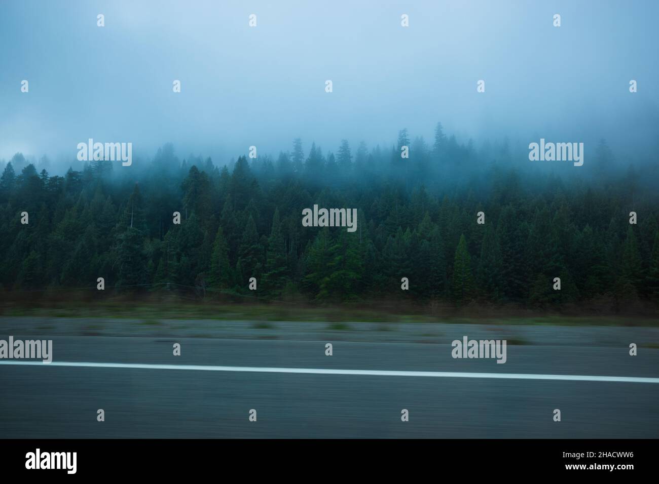 Pass through green coniferous hi-res stock photography and images - Alamy