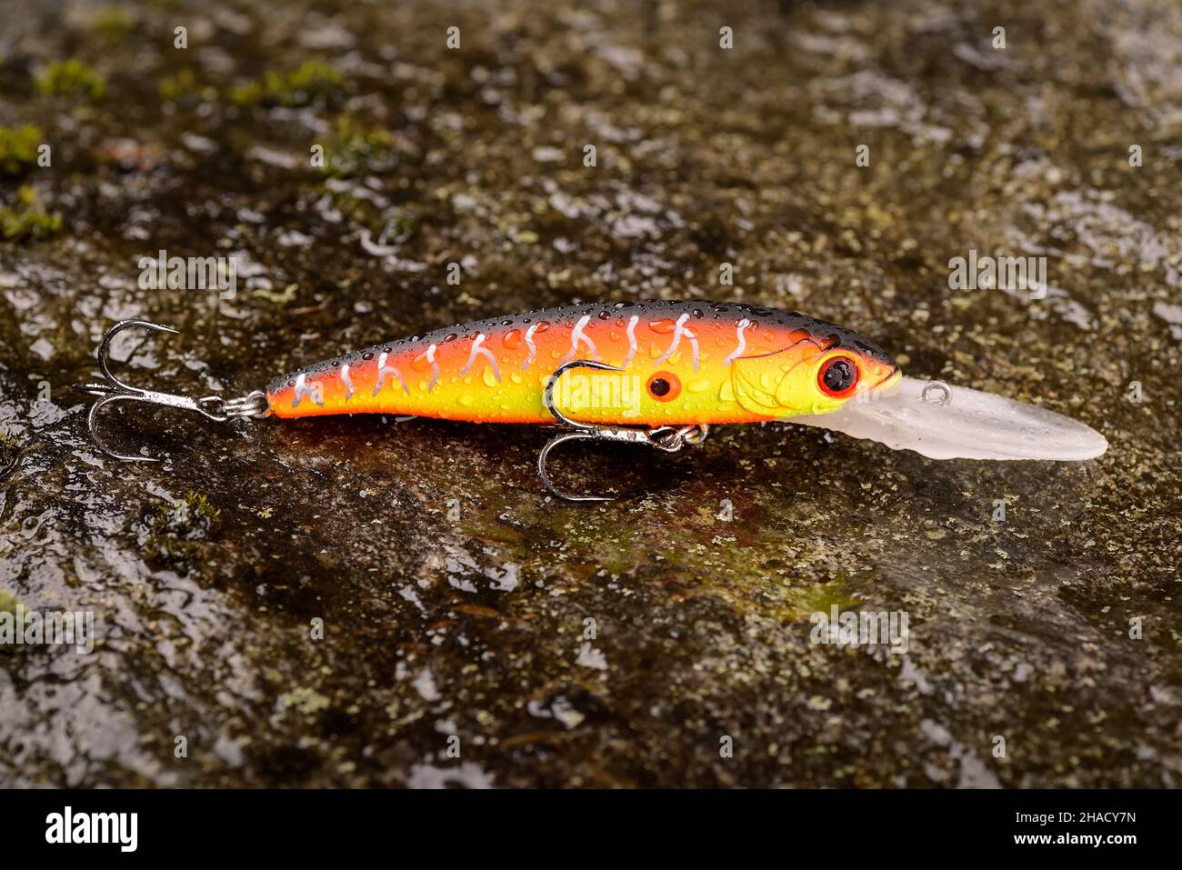 Freshwater Pike with Fishing Lure in Mouth and Fishing Equipment Stock  Photo - Image of adventure, lake: 113160906