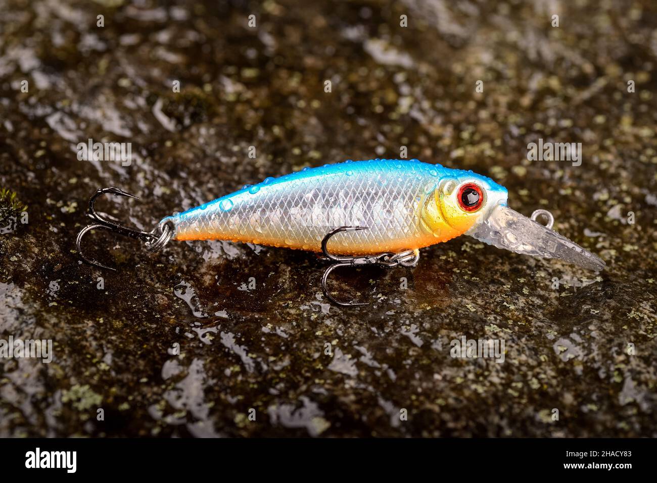 Minnow fishing hi-res stock photography and images - Page 11 - Alamy