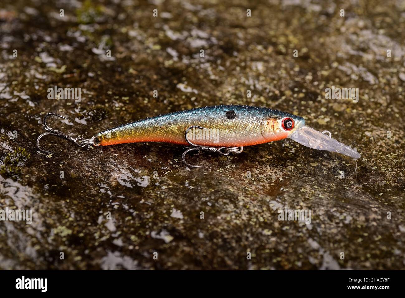 Fishing lure wobbler on a wet stone with moss Stock Photo Alamy