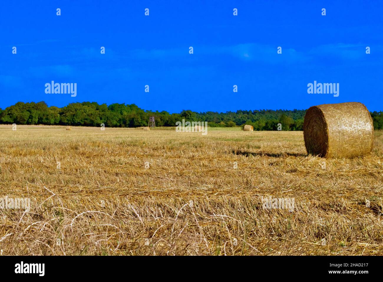 A big hay roll in a rural field Stock Photo - Alamy