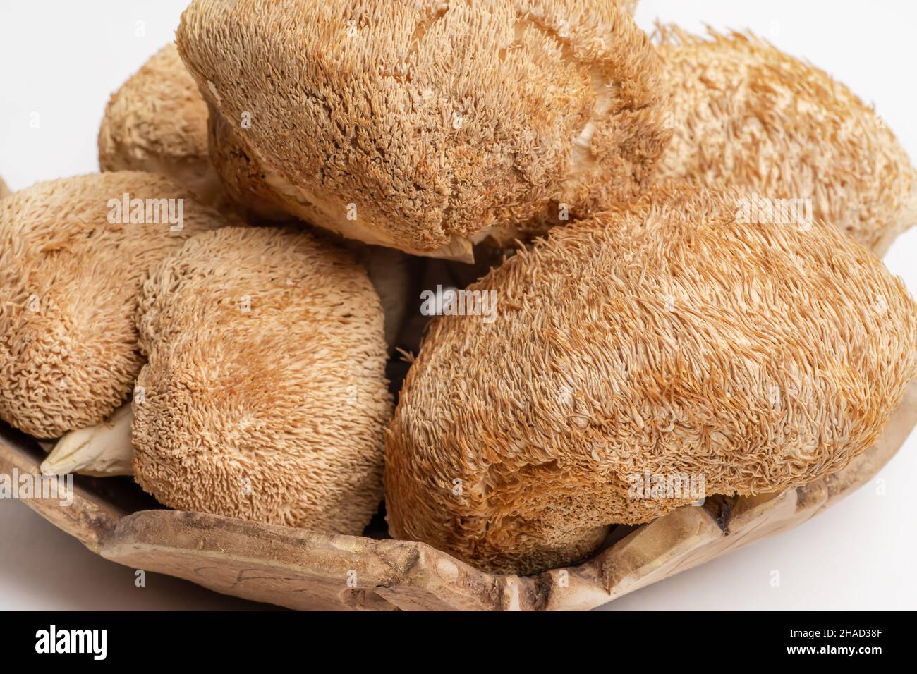 Dried Lion's Mane mushrooms or Hericium Erinaceus also called bearded tooth fungus. Stock Photo