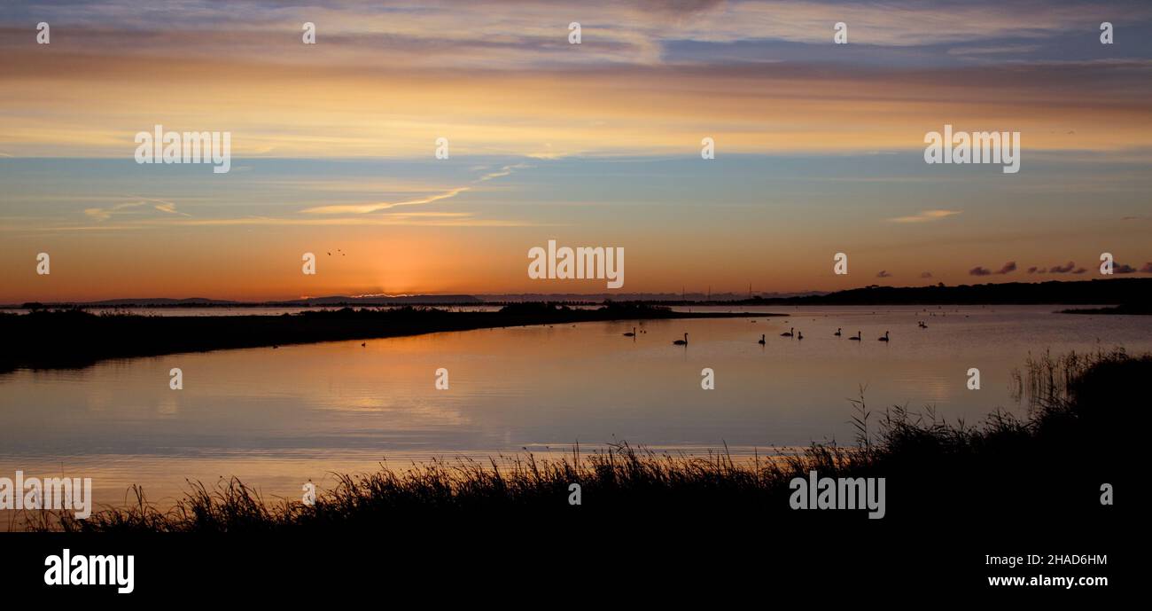 Sunrise Of Mudeford Beach Huts And Stanpit Marsh With Swans Swimming In The Foreground, UK Stock Photo