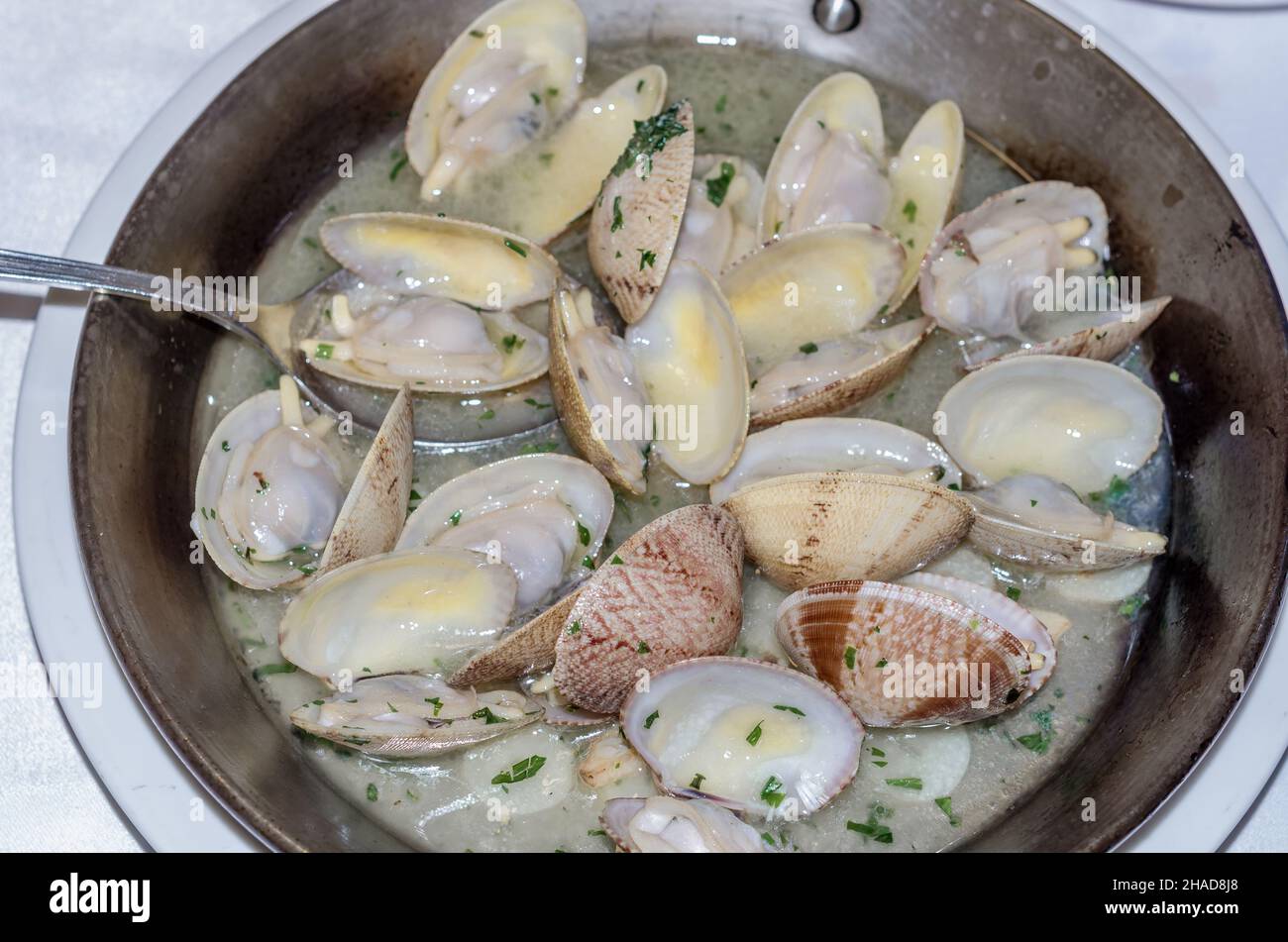 A dish of clams in green sauce, traditional Spanish cuisune Stock Photo
