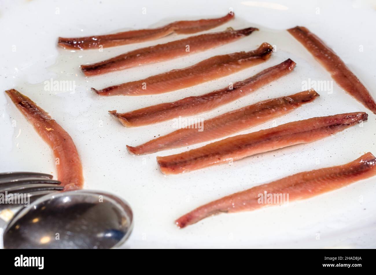 Cantabrian anchovies served as a starter, a salting preparation of anchovies (Engraulis encrasicholus); they are presented after cleaning, filleting, Stock Photo