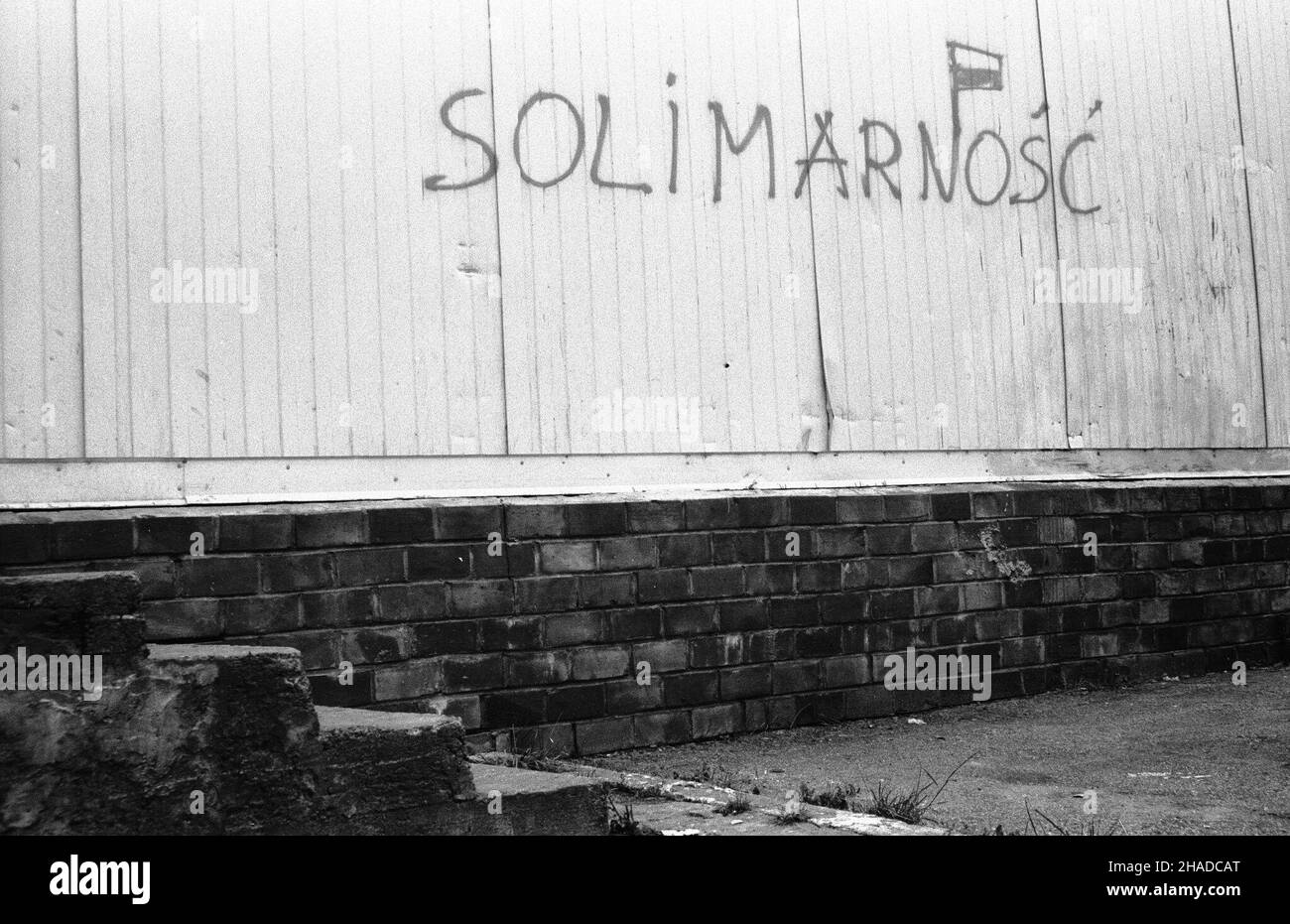 Warszawa, 12.1990. Pojawi³a siê nowa forma wypowiedzi publicznej - graffiti polityczne. Nz. napis SOLIMARNOŒÆ. (ptr) PAP/CAF/Jab³onowski      Warsaw, 12.1990. A new form of expression appeared - political graffitti. Pictured: graffitti on the wall reading 'Solivanity' (instead of Solidarity).  (ptr) PAP/CAF/Jablonowski Stock Photo