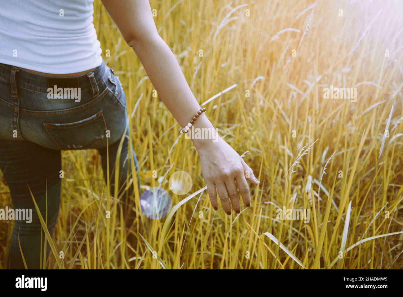 Asian women. On a meadow nice atmosphere during the summer. Stock Photo
