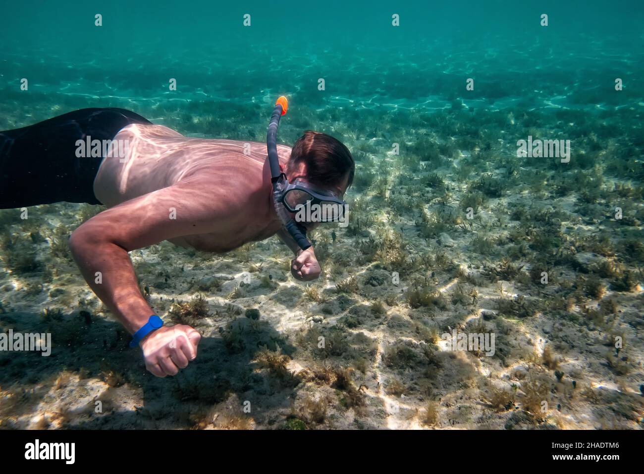 Man diving in tropical waters with snorkeling equipment Stock Photo