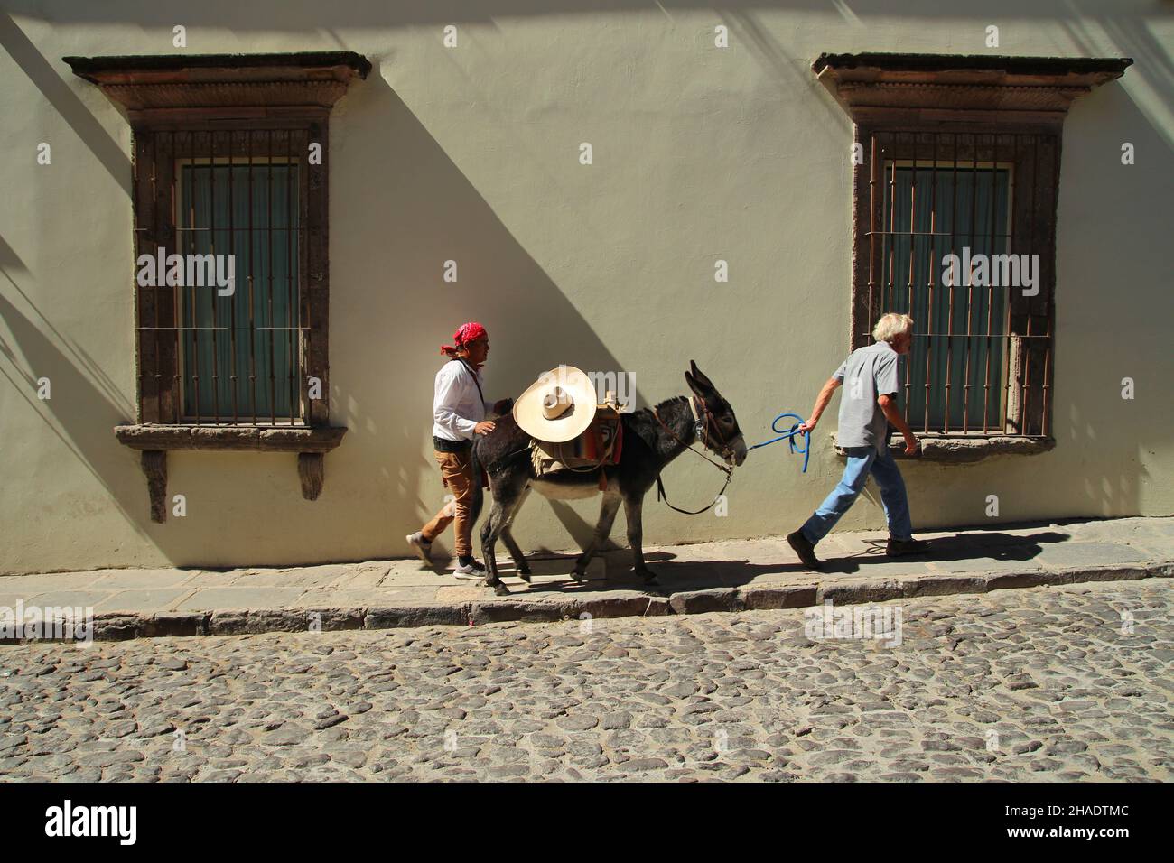 Two mexicans are pulling a donkey in the street of San Miguel de Allende in Guanajuato, Mexico. Stock Photo