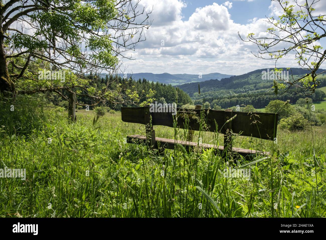 Empty bench at the hiking trail near the hill Wasserkuppe in Germany with view into the nature park Rhön. Stock Photo