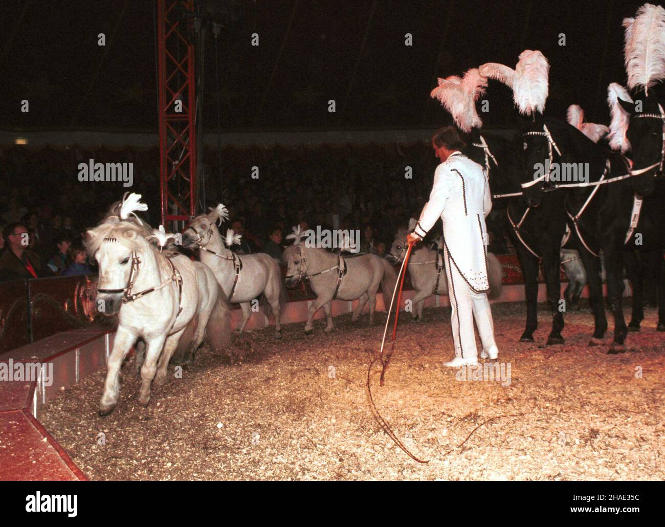 Warszawa, 27.09.1995. Treser trenuje konie w cyrku Merano w Warszawie. (kkk) PAP/Piotr Walczak Stock Photo