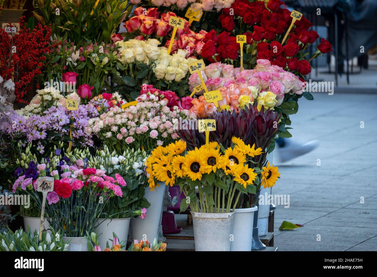 Beautiful flowers at the Cvijetni trg, famous square in the centre of