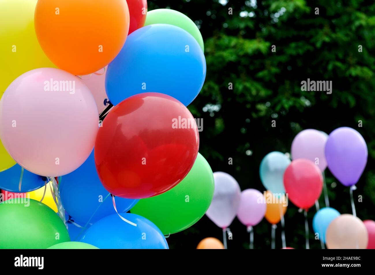 multicolored balloons in the city festival against trees background Stock Photo